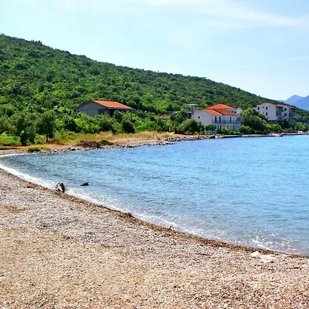 10127b * Drače