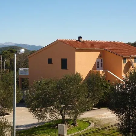 10127b * Drače